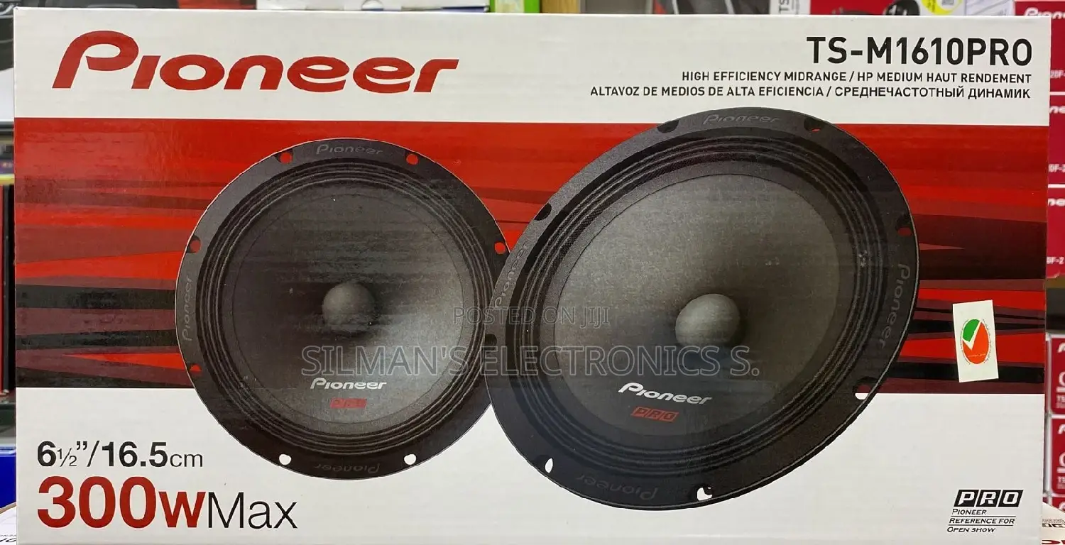 Pioneer Ts-M1610pro Car Door Speakers