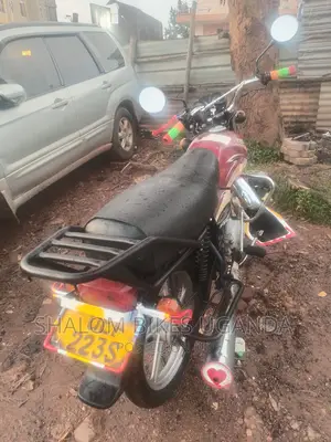 Shineray XY100-7 2018 Red