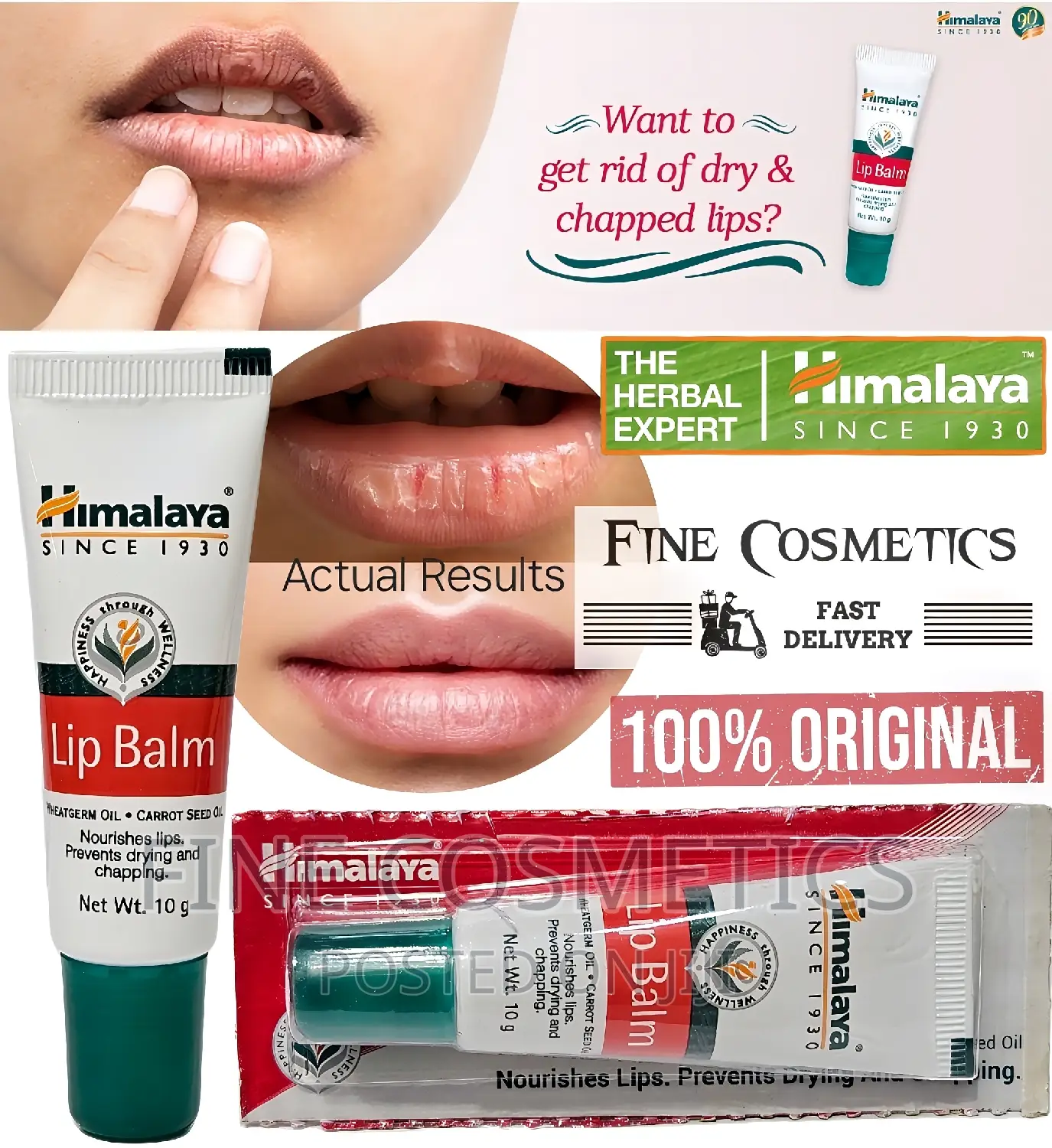 Himalaya Dry Lips Care Lipbalm for Cracked/Chapped Lips.