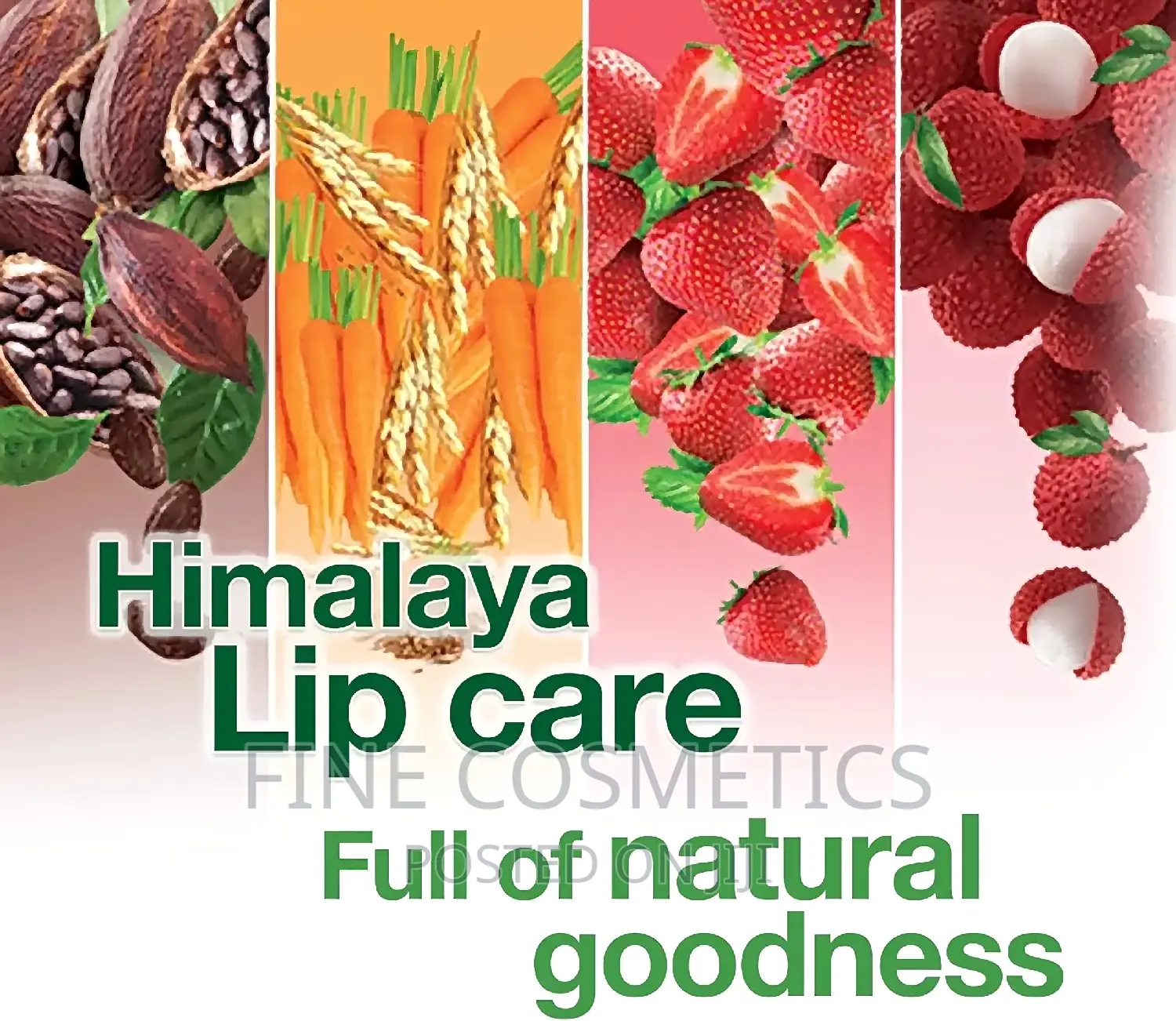 Himalaya Dry Lips Care Lipbalm for Cracked/Chapped Lips.