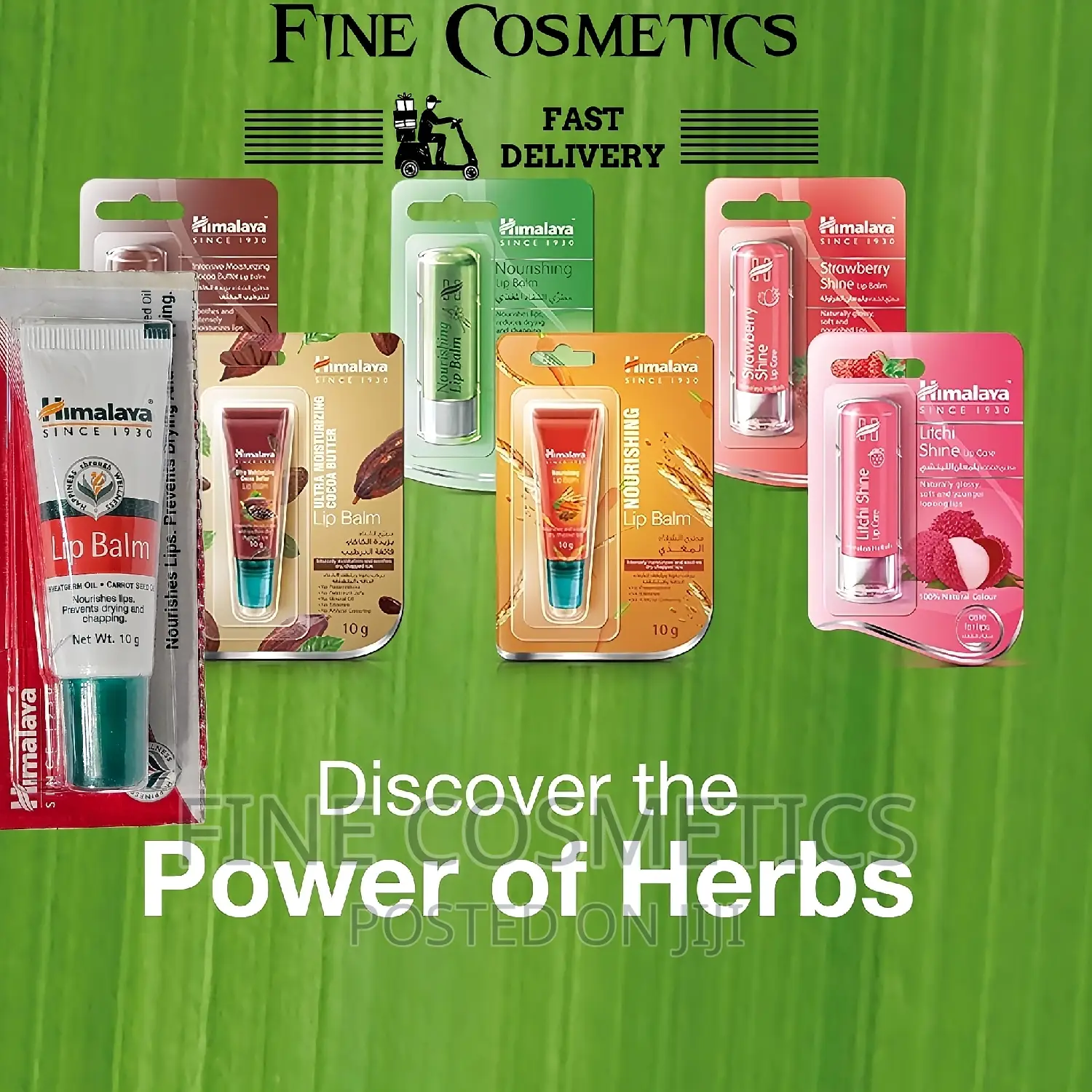 Himalaya Dry Lips Care Lipbalm for Cracked/Chapped Lips.