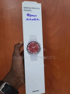 Samsung Galaxy Watch 6 Classic 43mm Silver