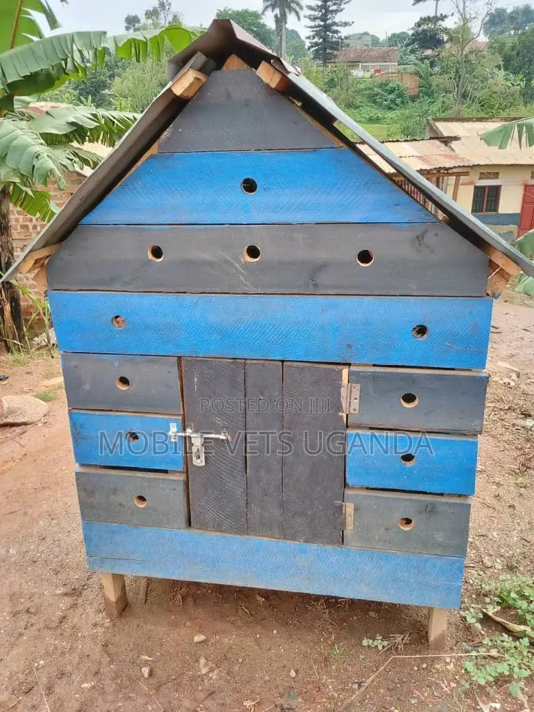 Pet House and Dogs