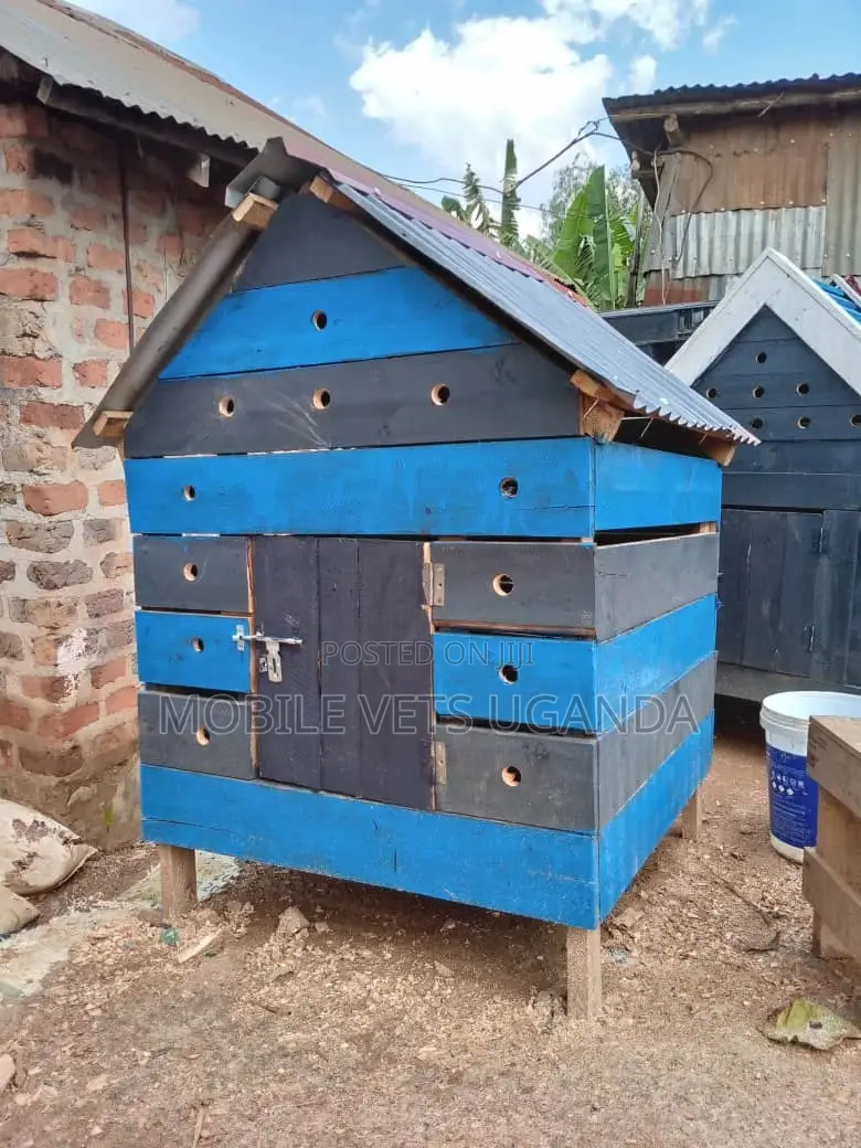 Pet House and Dogs