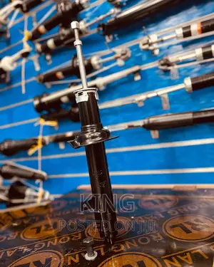 Photo - Noah Hind Shock Absorber
