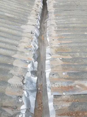 Flat Roof/ Box House Flooding And Leakages