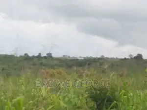 300 Acreas Near Airport Hoima in Nyamasoga
