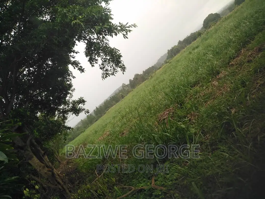 300 Acreas Near Airport Hoima in Nyamasoga