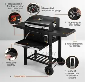 BBQ Outdoor Barbecue Grill