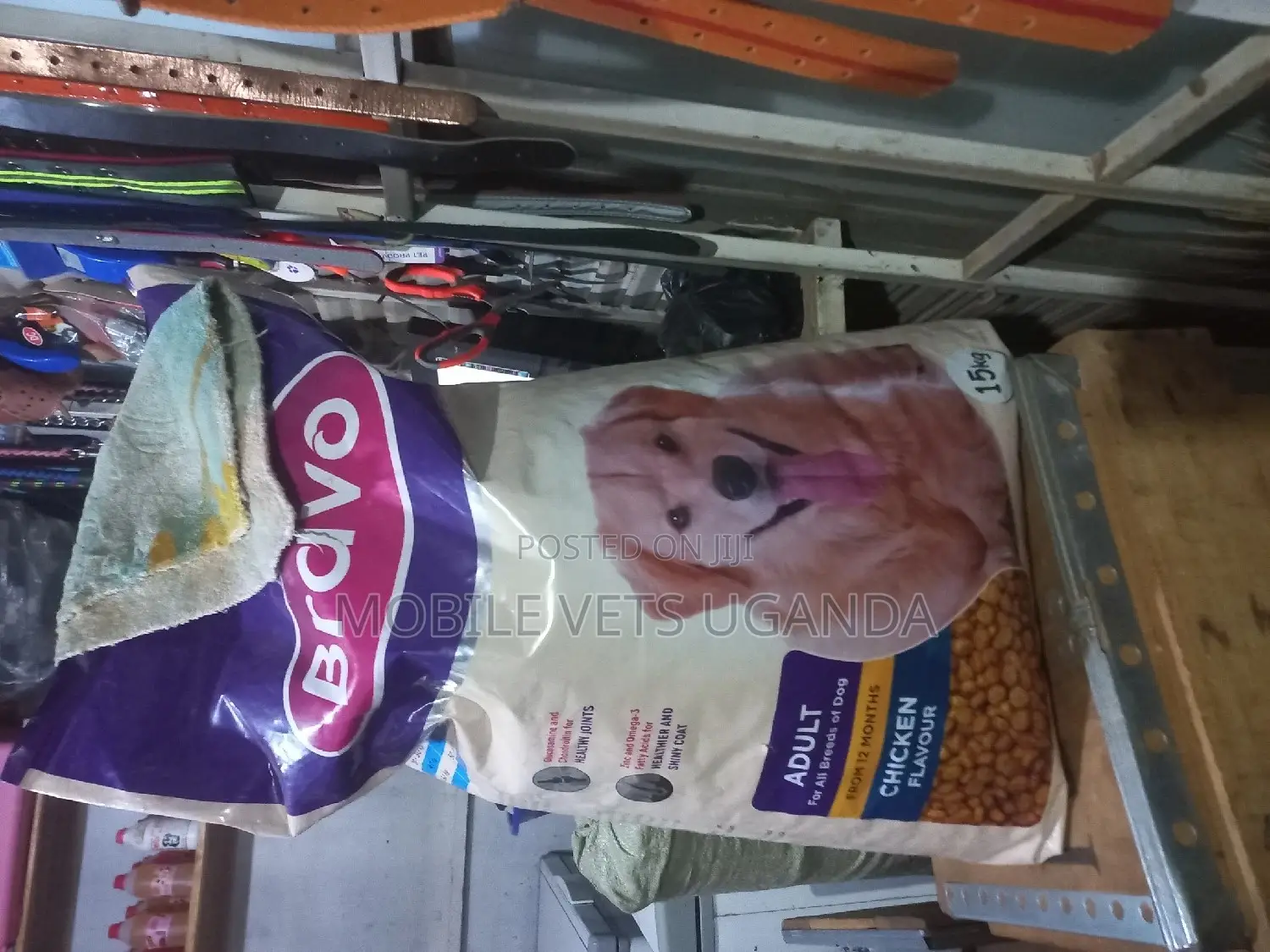 Dog and Cat Food