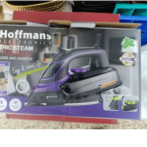 Hoffman Electric Steam Iron.