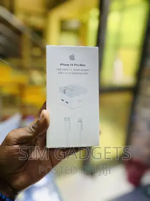 iPhone Charger