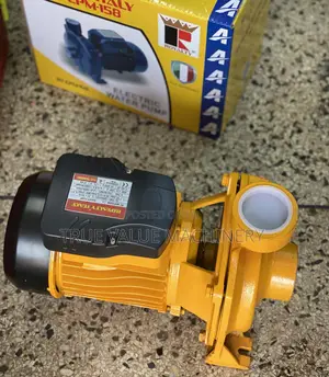 Water Pump Surface 2 Hp Royalty