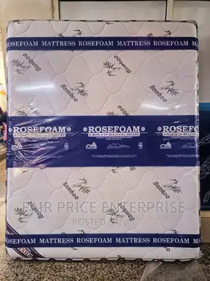 Quality Spring Mattresses Double Layers 3*6 in 10 Inches
