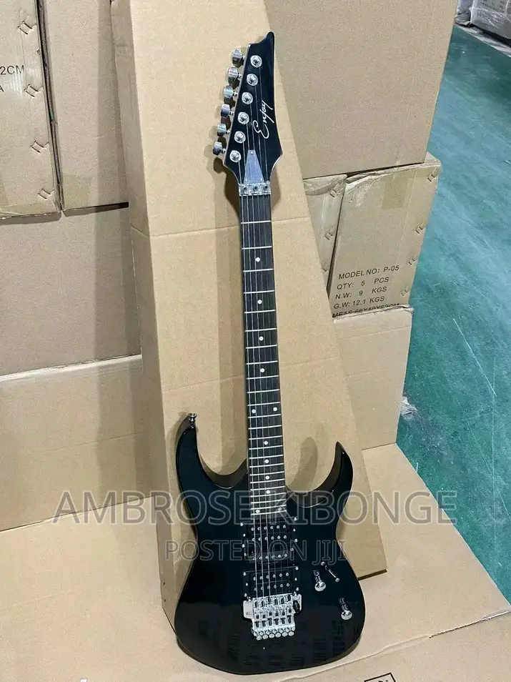 Classic Sound Quality IBANEZ 24frets Solo Electric Guitars.