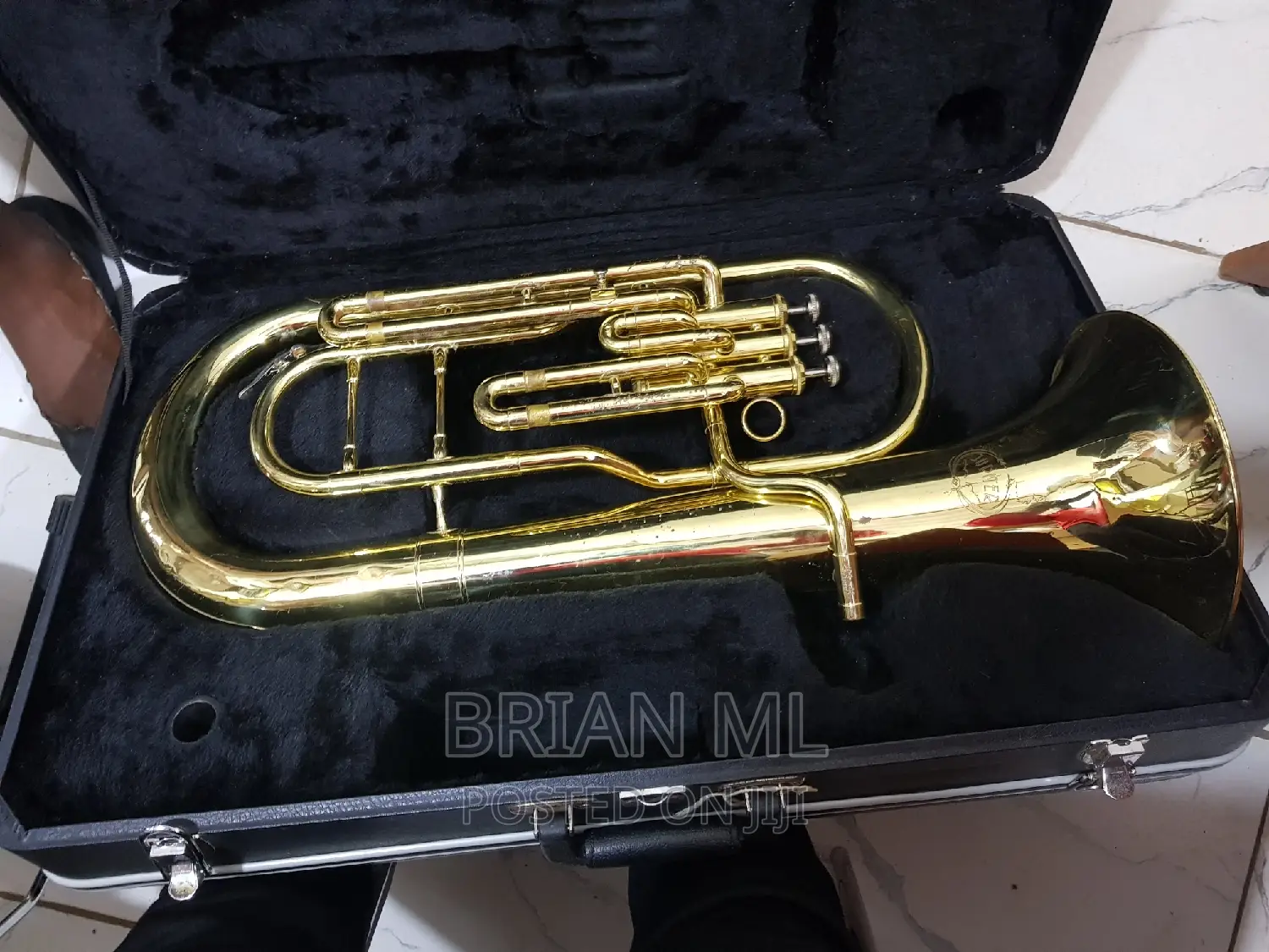 Britons Horn Used