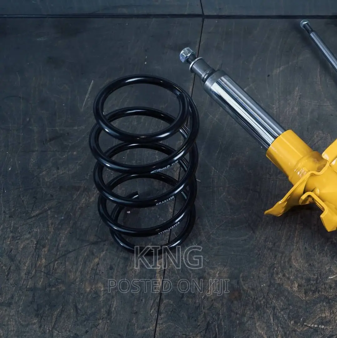 Cadillac Shock Absorber in Central Division Vehicle Parts