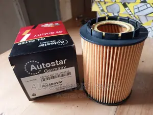 Oil Filter Toureg
