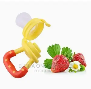 Baby Fruits Feeder/Pacifier
