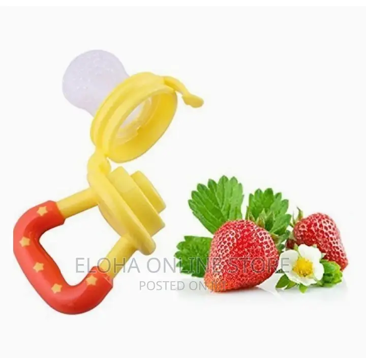 Baby Fruits Feeder/Pacifier