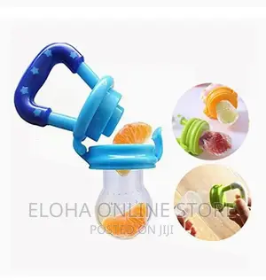 Baby Fruits Feeder/Pacifier