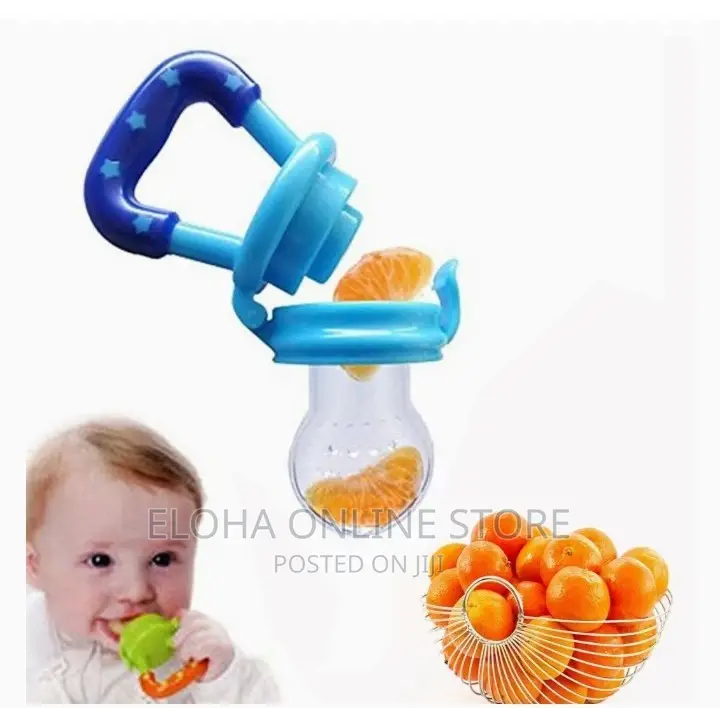 Baby Fruits Feeder/Pacifier