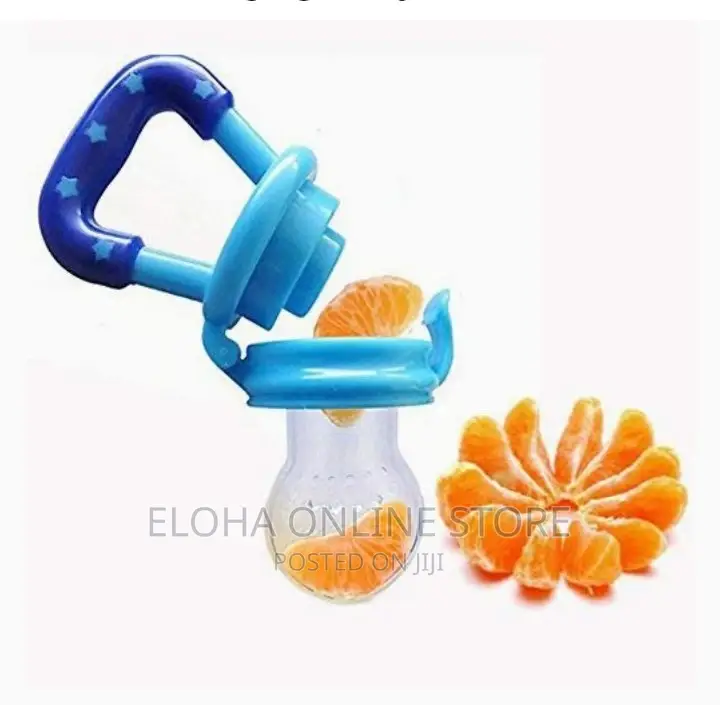 Baby Fruits Feeder/Pacifier