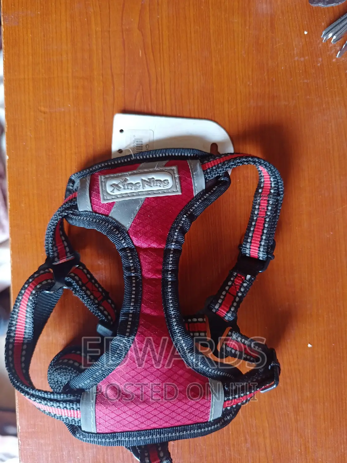 Pet Accessories