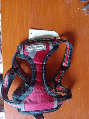 Pet Accessories