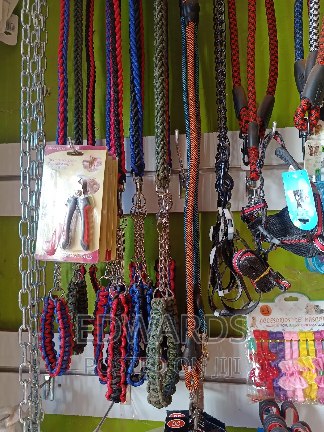 Pet Accessories