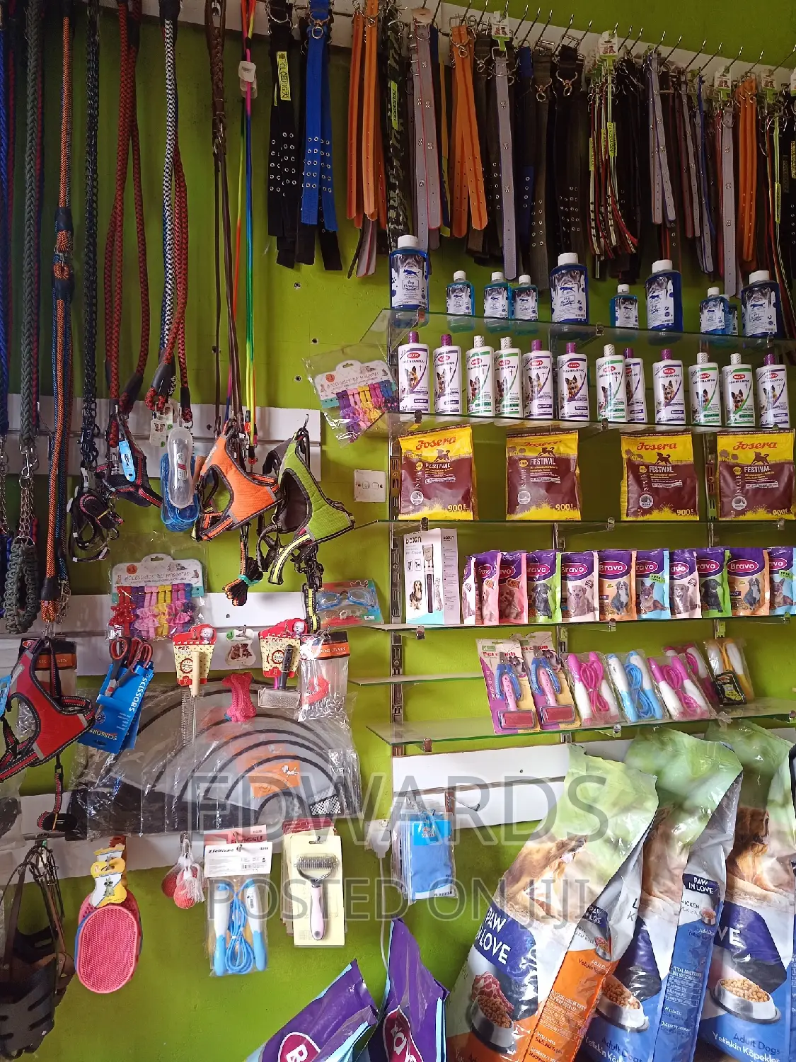 Pet Accessories