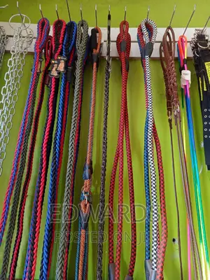 Pet Accessories