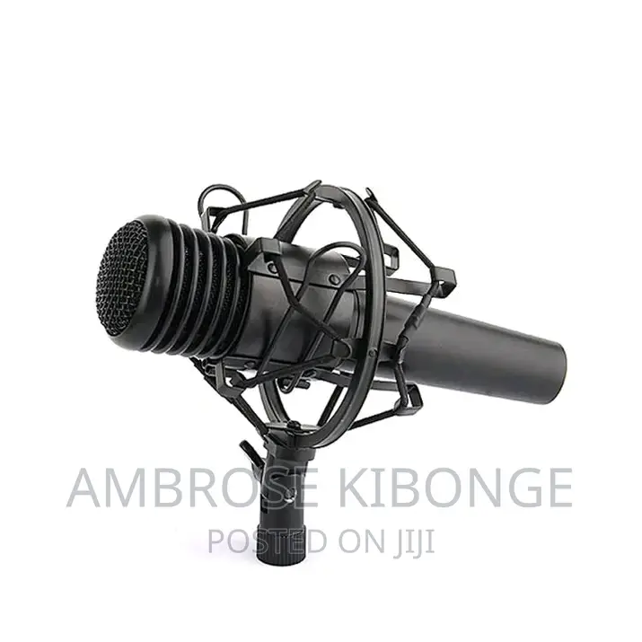 Studio Microphone Anti Vibration Mic Clip Holder Shock Mount