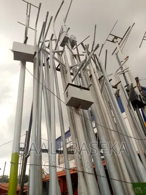 Street Light Poles/Street Camera Poles/Metallic Poles