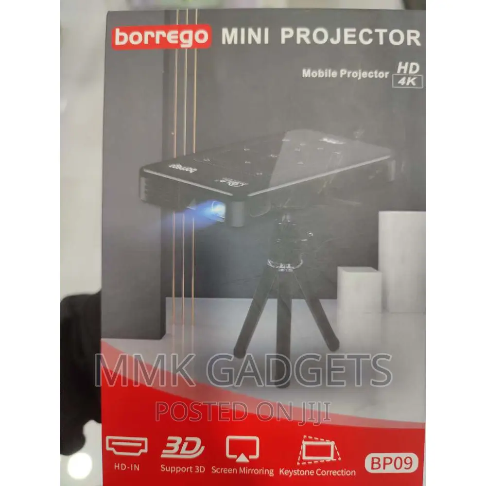 Borrego Mini Projector