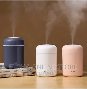 New Portable Car and Office Humidifier