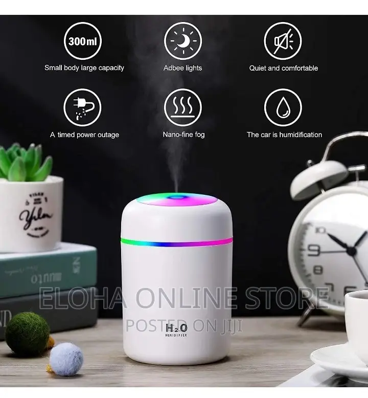 New Portable Car and Office Humidifier