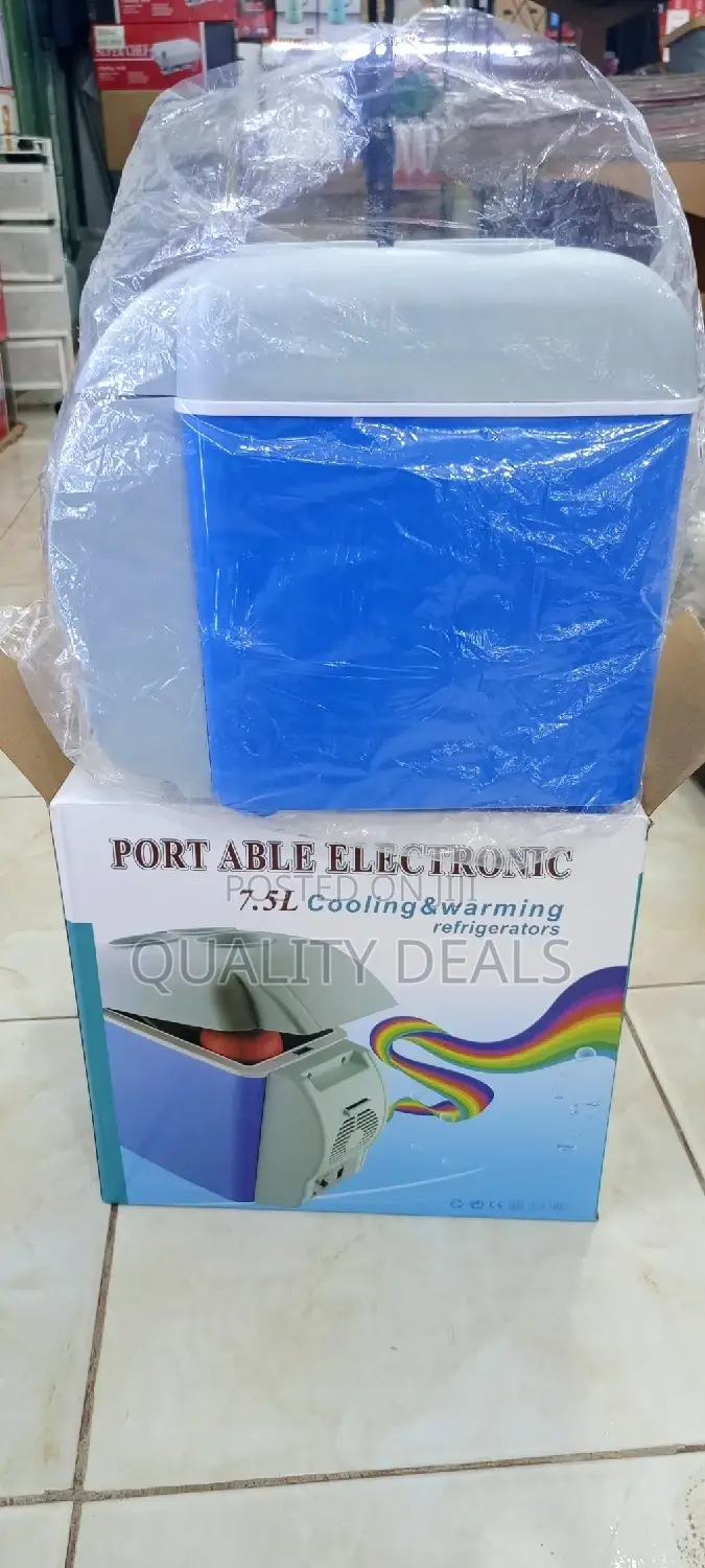 Electric Mini Car Fridge