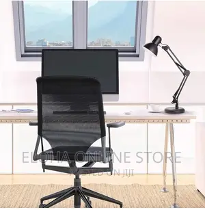 Long Standing Lamp