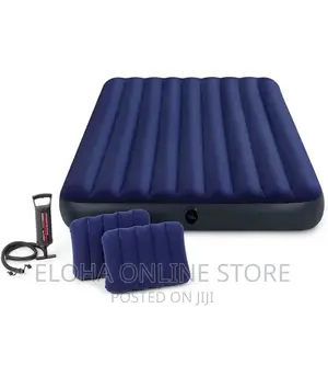 Intex Inflatable Mattress With Two Pillows