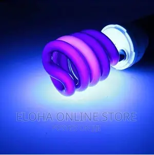 Money Detector Bulb