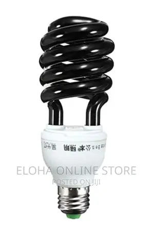 Money Detector Bulb