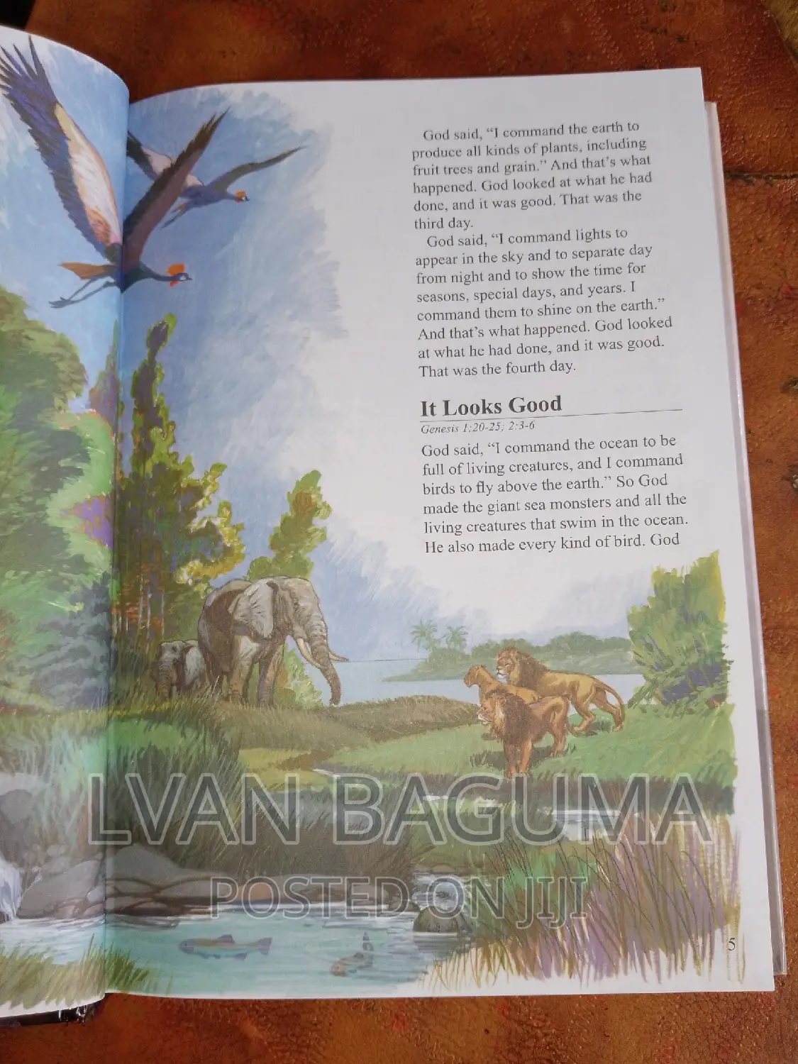 The Children's Bible - CEV