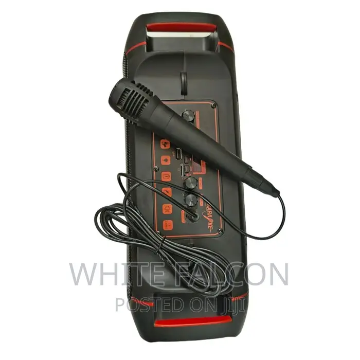 20w Dual Subwoofer Karaoke Portable Speaker