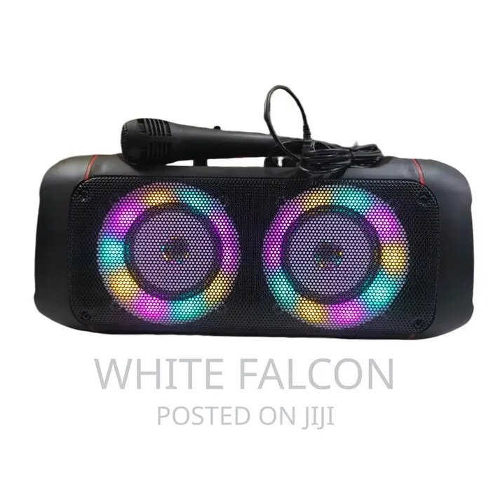 20w Dual Subwoofer Karaoke Portable Speaker