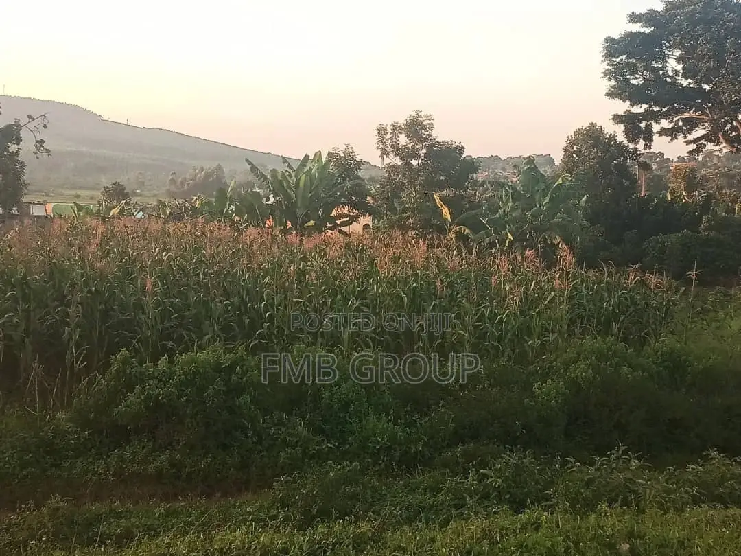 50*100 Mukono, Kisoga Main Road Plot for Sale
