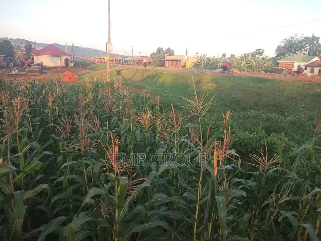 50*100 Mukono, Kisoga Main Road Plot for Sale