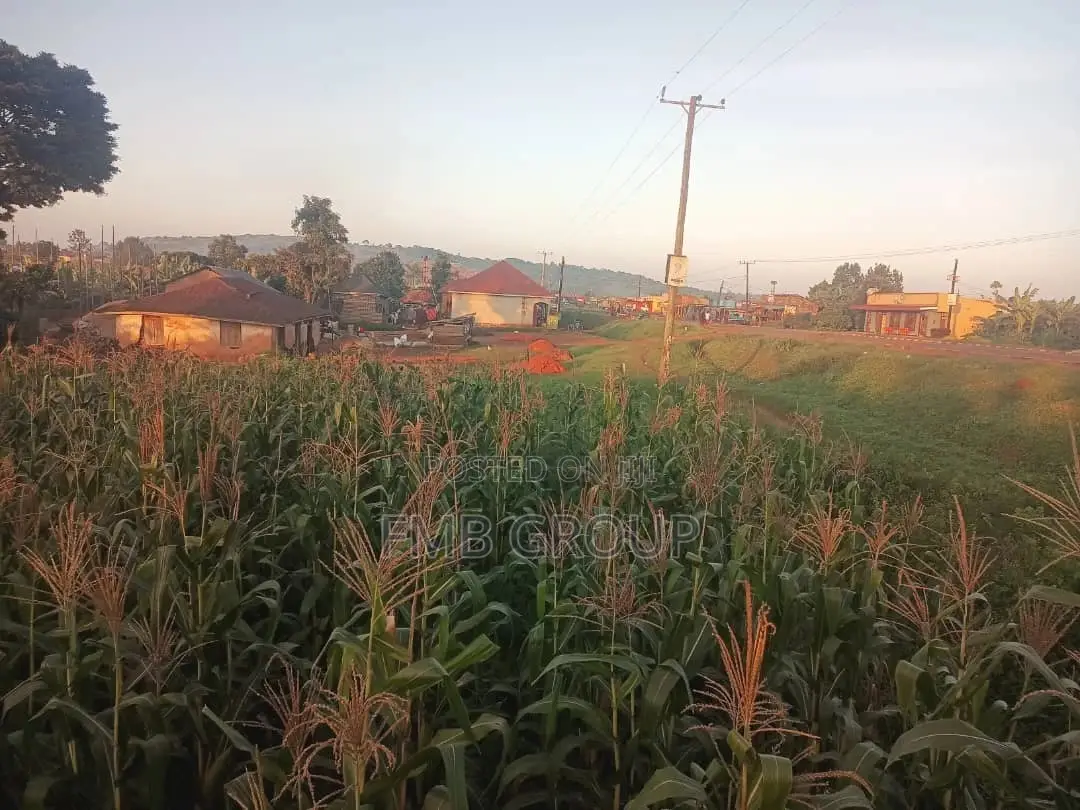 50*100 Mukono, Kisoga Main Road Plot for Sale