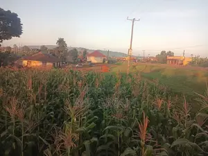 50*100 Mukono, Kisoga Main Road Plot for Sale