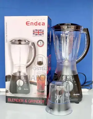 2 in 1 Endea Electric Blender